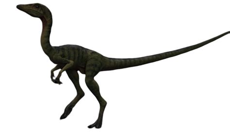 Compsognathus | Jurassic Park Wiki | Fandom