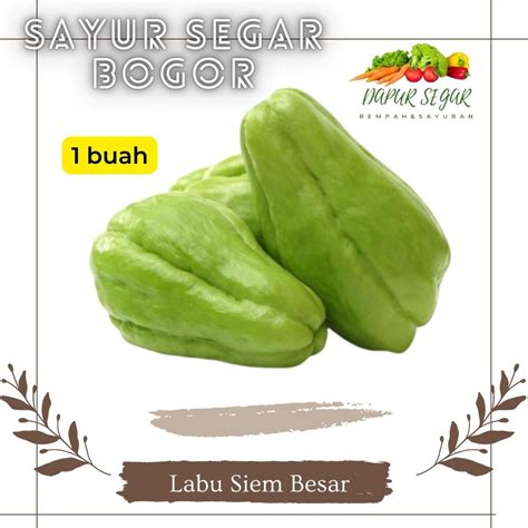 Jual Labu Siam Siem Hijau Segar Manisa Bh Sayur Sayuran Segar Bogor