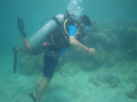 Scuba Diving at Andaman N Nicobar Islands. Stock Image - Image of andaman, diving: 166962303