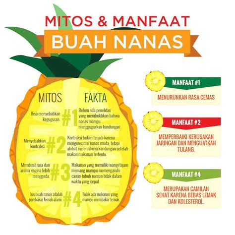 Mitos Dan Manfaat Buah Nanas Bagi Wanita Uzone