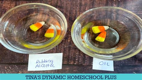 Fun Candy Corn Stem Activity Which Liquid Dissolves Candy Corn Faster