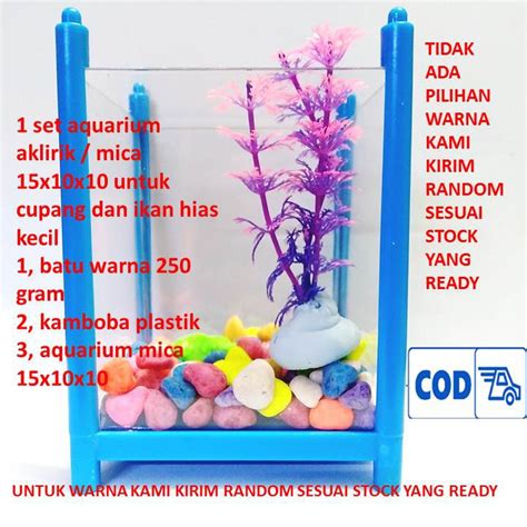 Jual Set Aquarium Aklirik Mica X X Aquarium Cupang Dan Ikan