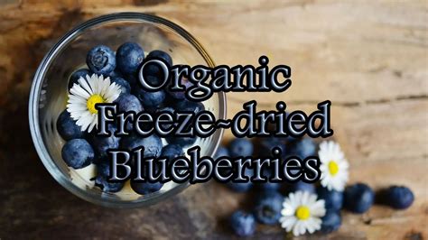 Organic Freeze Dried Blueberries Pure Minerals Uk