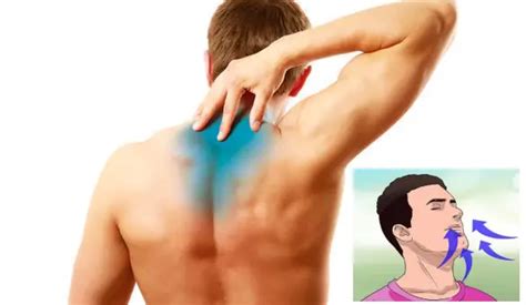 Why Does My Upper Back Hurts When I Breathe Body Pain Tips