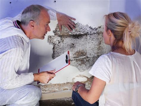 Guidelines To Decide On An Expert Mold Inspector