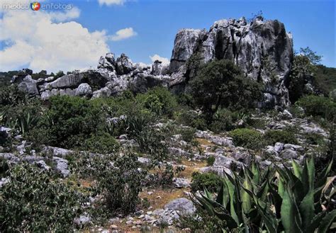 Valle de los Fantasmas San Nicolás Tolentino San Luis Potosí