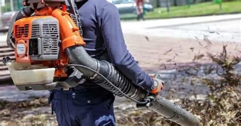 Backpack Leaf Blower Comparison | IUCN Water