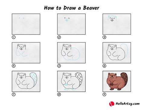 Beaver Drawing Outline