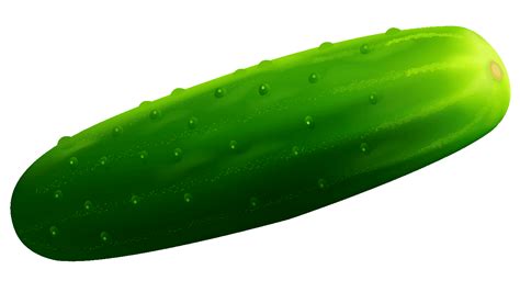 Pickles Png Dill Pickle Png Free Transparent Png Download Pngkey Images