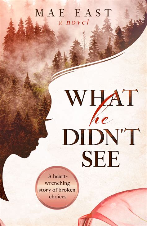 Book Cover Design For What He Didn T See By Mae East In 2021 Book