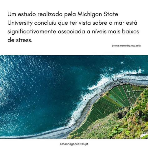 Sabia que um estudo realizado pela Michigan State University concluíu