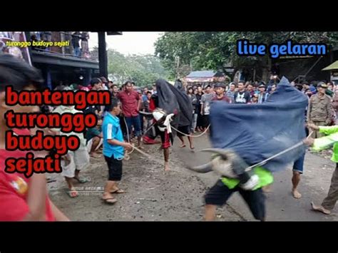 Ndadi Massal Bantengan Turonggo Budoyo Sejati Live Gelaran Youtube