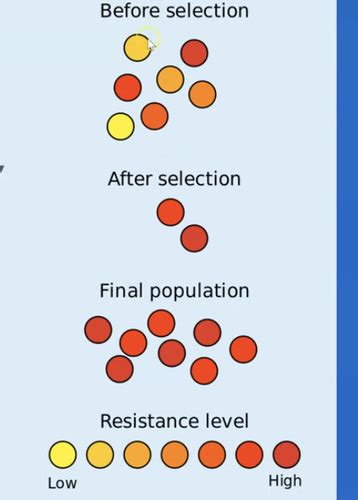 Genetic Diversity Adaptation Flashcards Quizlet