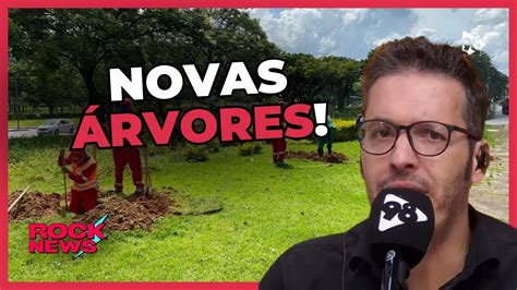 PBH inicia PLANTIO de ÁRVORES no ENTORNO do MINEIRÃO YouTube