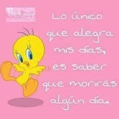 9 ideas de Imagenes de piolin xd frases piolín memes sarcásticos piolin