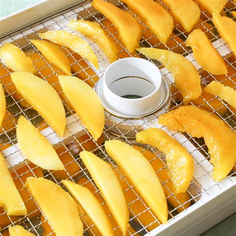 How To Dry Mango In A Food Dehydrator Luvele Au