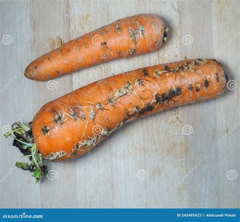 Verduras Podridas Brotadas En La Pizarra De La Cocina Cocina