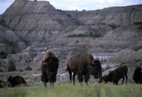 North Dakota Travel Guide - Expert Picks for your Vacation | Fodor’s Travel