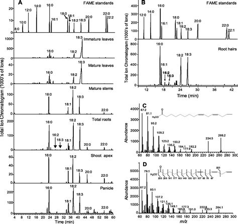 Functional Characterization Of Desaturases Involved In The Formation Of