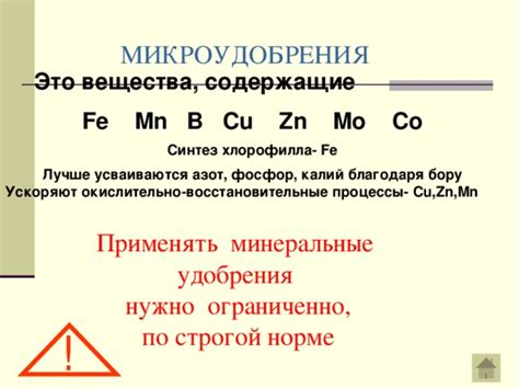 Презентация Минеральные удобрения