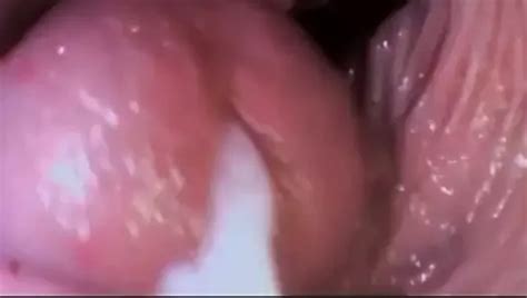 Inside A Pussy XHamster