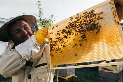 Premium Photo Closeup Portrait Of Beekeeper Holding A Honeycomb Full