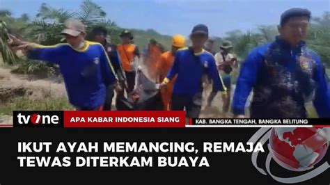 Bocah Korban Terkaman Buaya Di Bangka Tengah Ditemukan Tewas Akis