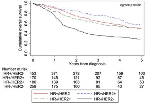 Survival Curves For Stage Iii Ibc Per Breast Cancer Subtype Diagnosed Download Scientific