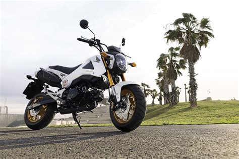 Honda Grom Msx Buyers Guide Today