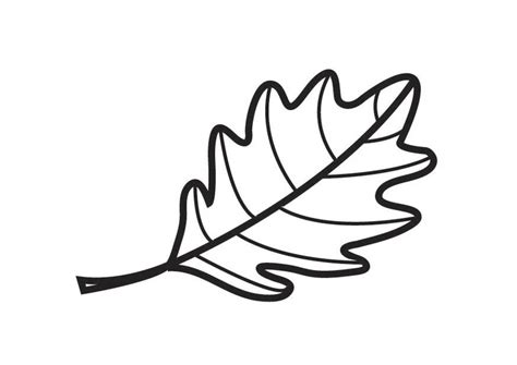 Oak Leaf Coloring Page