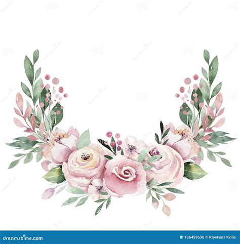 Hand Drawn Watercolor Wreath Illustration Isolated Botanical Wreathes Of Green Branches And