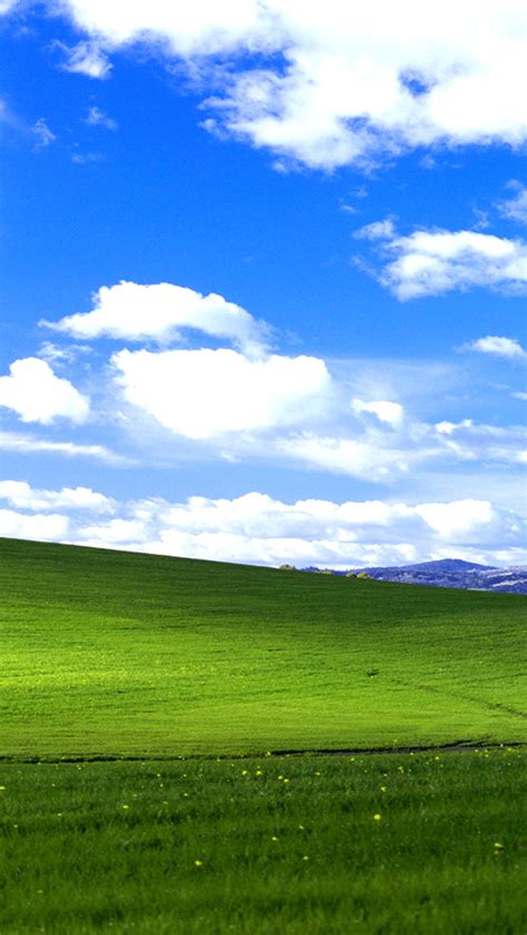 Download Microsoft's new Windows XP Bliss wallpapers for mobile ...