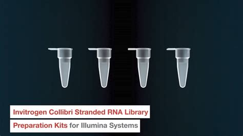 Collibri Stranded RNA Library Prep Kits For Viral Surveillance YouTube