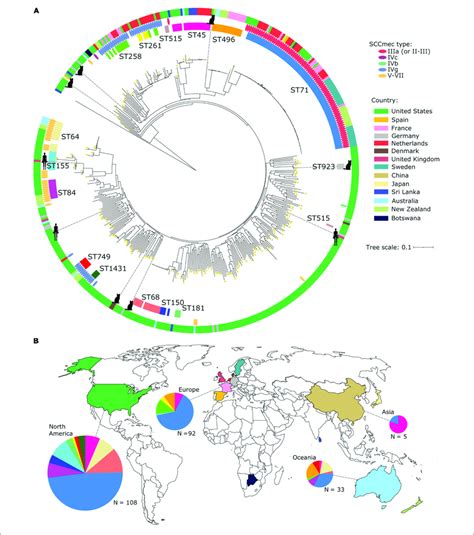 Core Genome Phylogenetic Tree Of The Global S Pseudintermedius