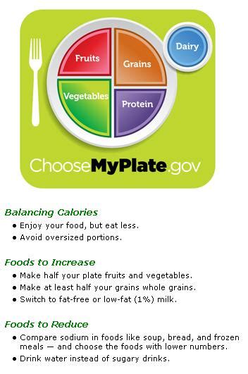 Better Version Of My Plate Precision Nutrition S Eating Guidelines For Clients Precision