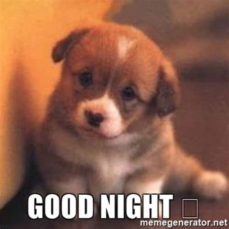 50 Cutest Goodnight Memes