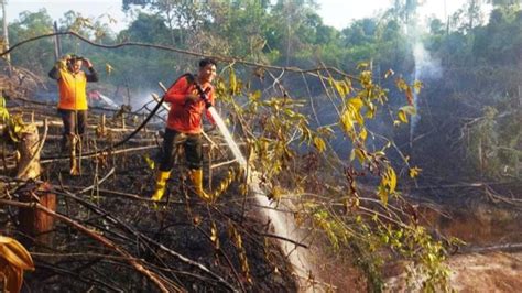 Waspada Ada 26 Titik Panas Di Kaltim Potensi Timbulkan Karhutla Ini