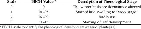 Bud Burst Vigor Scale Applied In Bud Development Survey Download