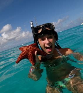 Bikini Blonde And Cute Image 448573 On Favim