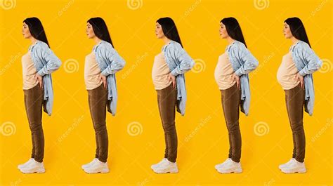 Stages of Pregnancy. Young Woman with Different Belly Sizes Standing ...