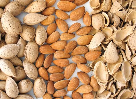 The almond tree: a great opportunity for Spanish fruit growing - eComercio Agrario