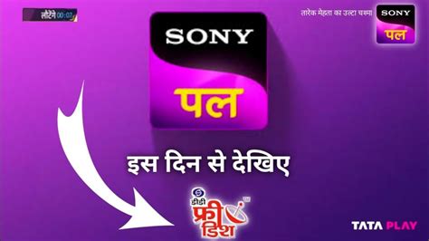 Sony Pal Channel Date Confirmed Dd Free Dish New Update Today Youtube