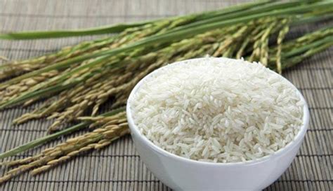 Ecuador proveerá de 104 mil toneladas de arroz a Colombia en 2022