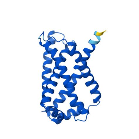 RCSB PDB AF AFP08064F1 Computed Structure Model Of Succinate