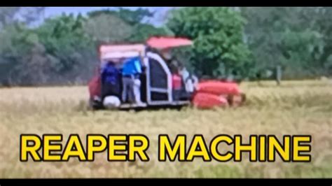 Reaper Machine Ang Bagong Teknolohiya Sa Pag Aani Ng Palay Sa Gitnang