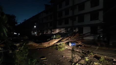 Árvore cai sobre fiação e deixa moradores sem luz em Padre Miguel