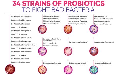 Frontiers Absolute Enumeration Of Probiotic Strains Lactobacillus Hot