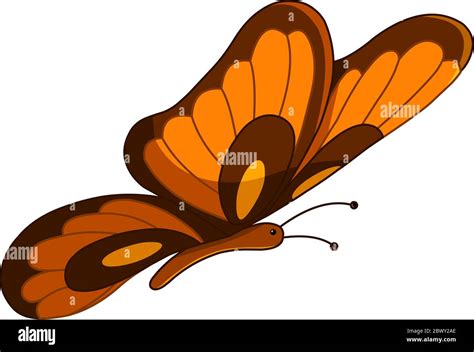 Im Genes Predise Adas De Mariposa Naranja