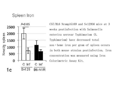 Iron Colorimetric Assay Kit Detects Iron Concentration Highly Sensitive