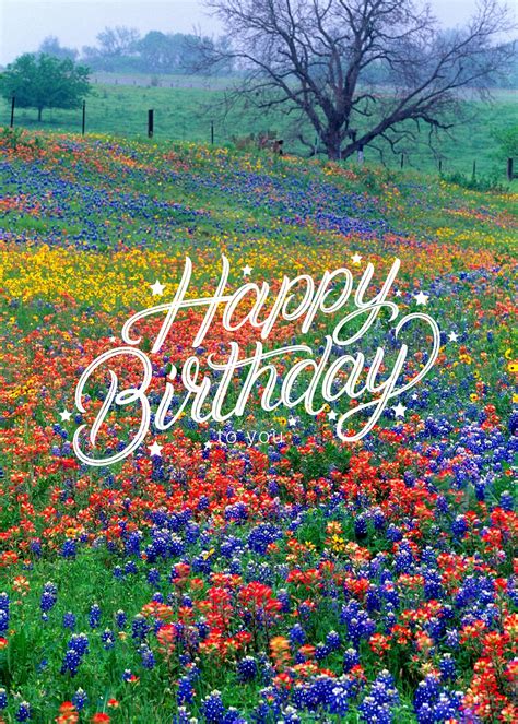 Happy Birthday Card Wildflowers Bluebonnets Indian Paintbrushes